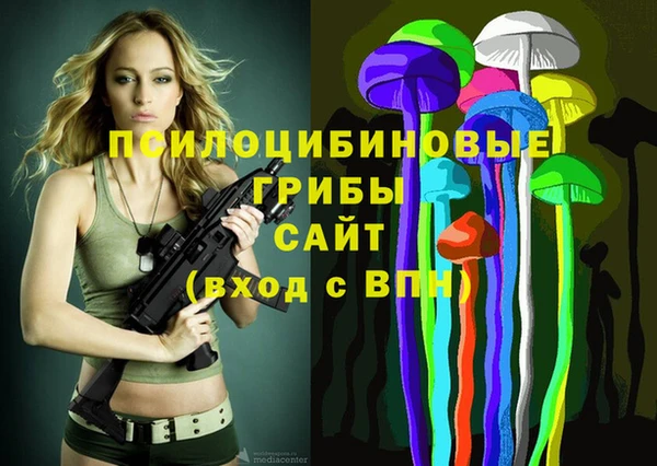 гидра Новозыбков