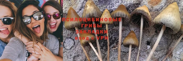 эйфоретик Михайловка