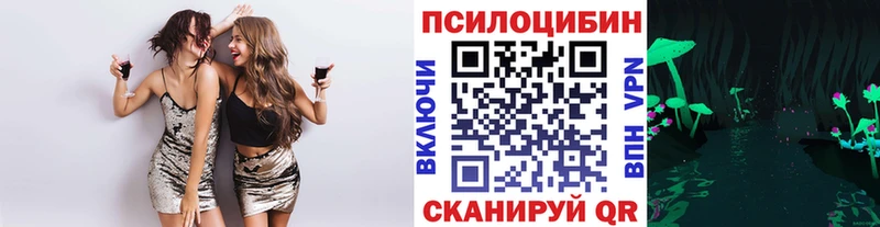 hydra как зайти  Ивангород  Галлюциногенные грибы Psilocybe 
